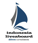 indonesia liveaboard dive cruises